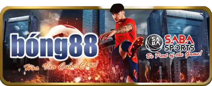 Hướng dẫn cá cược Đá Gà